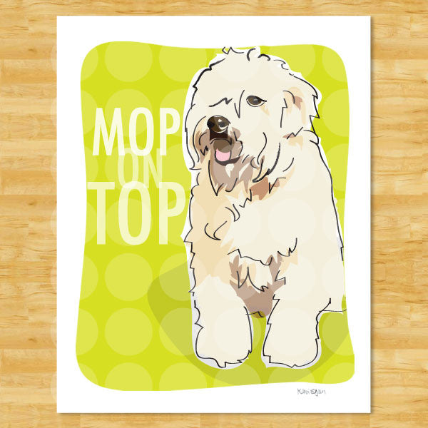 Wheaten Terrier Art Print - Mop on Top