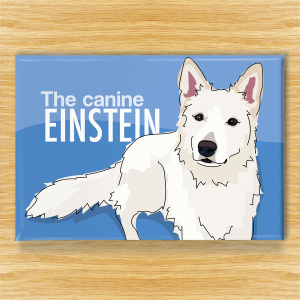 Swiss Shepherd Magnet - The Canine Einstein