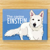 Swiss Shepherd Magnet - Canine Einstein