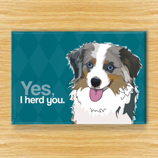 Australian Shepherd Magnet - Yes, I Herd You - Blue Merle Mini Aussie