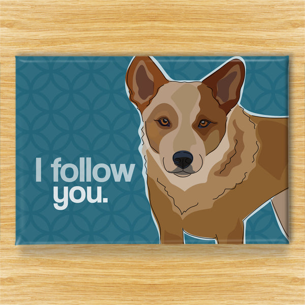 Cattle Dog Magnet - I Follow You - Red Heeler
