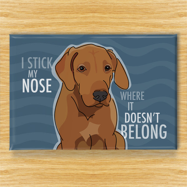 Rhodesian Ridgeback Magnet - I Stick My Nose...