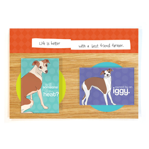 Italian Greyhound Dog Magnet Four Pack