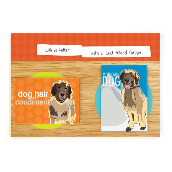 Leonberger Dog Magnet Four Pack