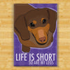 Dachshund Magnet - Life is Short - Chocolate