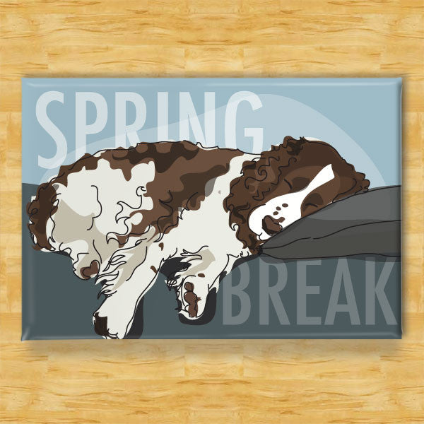 Springer Spaniel Art