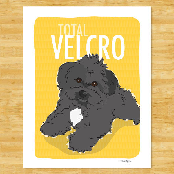 Havanese Art Print