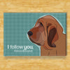 Bloodhound Magnet