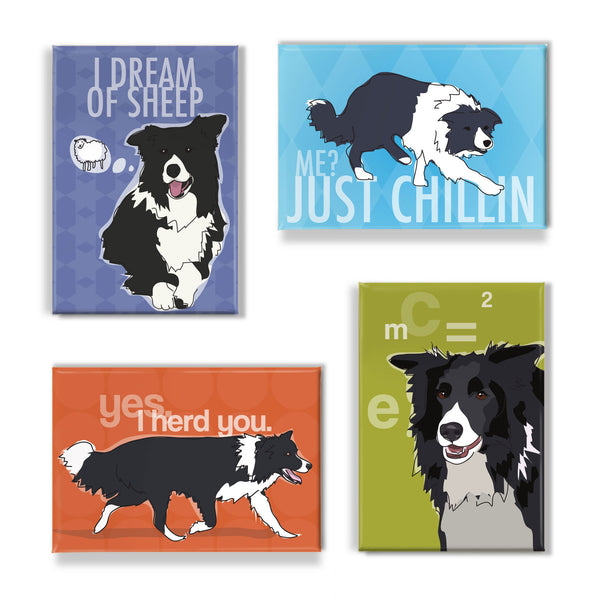 Border Collie Gift Set