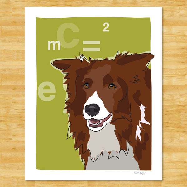 Border Collie Art Print