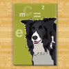 Border Collie Magnet - Einstein
