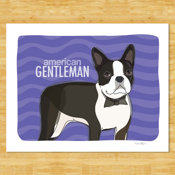 Boston Terrier Art Print 