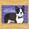 Boston Terrier Magnet - American Gentleman