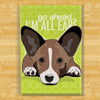 Brindle Cardigan Corgi