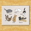 Cats Being Cats Magnet
