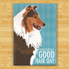Collie Magnet - Another Good Hair Day