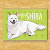 Cream Shiba Inu Magnet - Owned