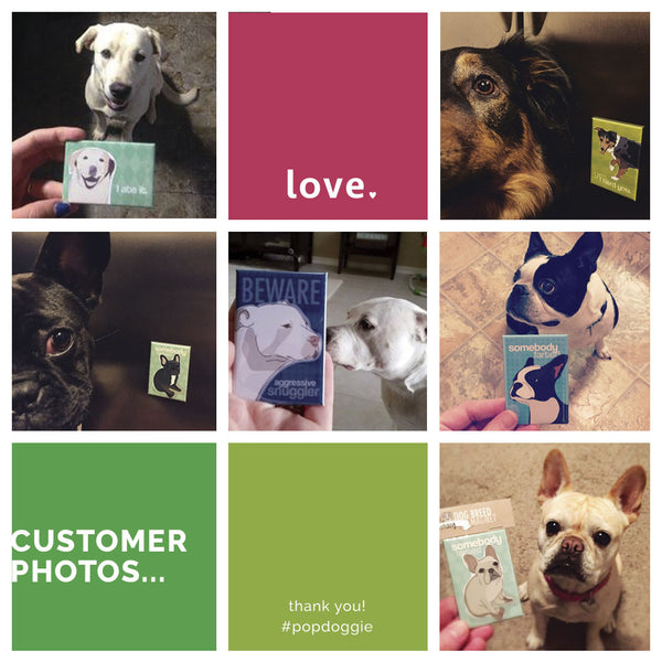 Labrador Retriever Magnet - Labs Are Fetching Awesome - Yellow Lab