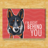 Blue Heeler Magnet - Behind You