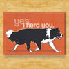 Border Collie Magnet - Herd You