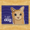 It Was The Dog - Cat Magnet