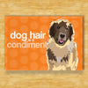 Leonberger Magnet - Dog Hair