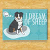 Black (Tri) Australian Shepherd Magnet - Dreaming