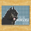 Bouvier Magnet