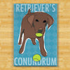 Chocolate Labrador Retriever Magnet - Conundrum