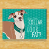 Italian Greyhound Magnet