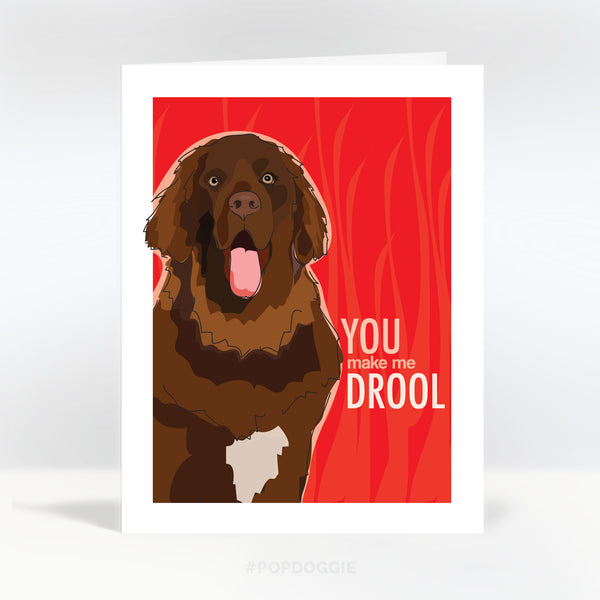 Newfoundland Dog Valentines Card - You Make Me Drool - Brown Newfie