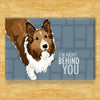 Sheltie Shetland Sheepdog Magnet - Right Behind You