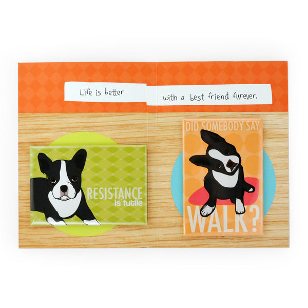 Boston Terrier Dog Magnet Four Pack