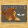 Shiba Inu Magnet - Shiba Best Trick