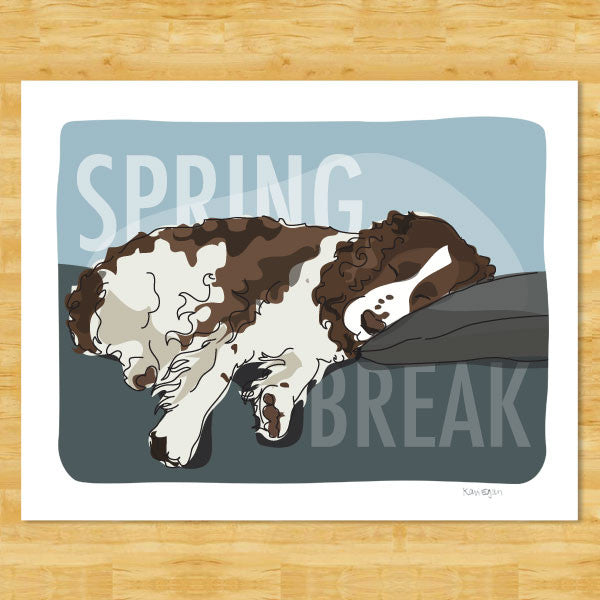 Springer Spaniel Art Print 